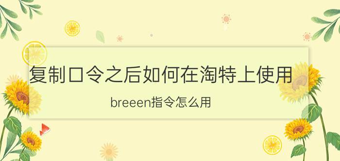 复制口令之后如何在淘特上使用 breeen指令怎么用？